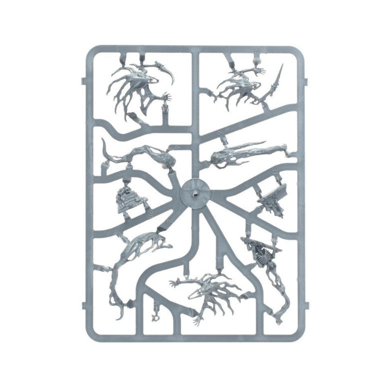 Warhammer Age of Sigmar Nighthaunt: Spirit Hosts