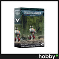 Warhammer 40K Blood Angels: Sanguinary Priest