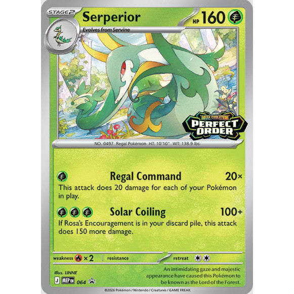 English Pokemon TCG ME03 Perfect Order Build & Battle